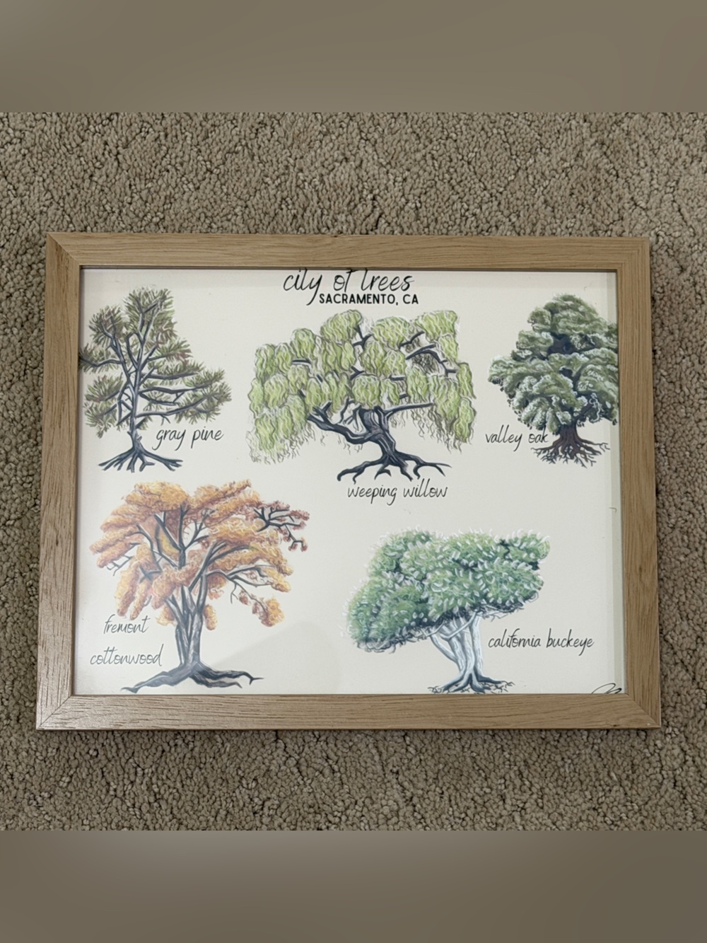 Botanical Tree Print in Natural Wood Frame - Green & Orange